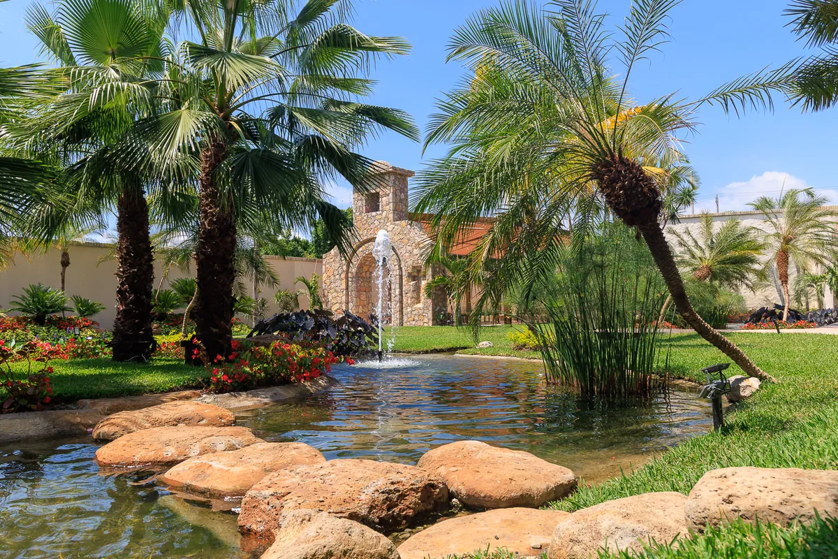 Jardín Begonias